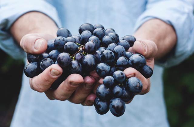 Vendita frutta e verdura direttamente dal produttore